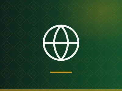 IgoroTech Company Website
